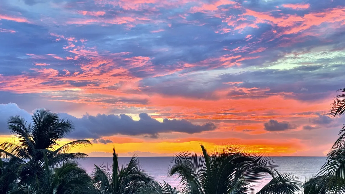 Pink and orange sunset sky over palm trees on the Riviera Maya coast
