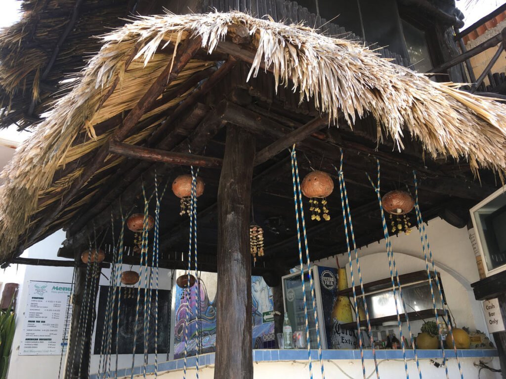 The Beached Bikini Bar palapa