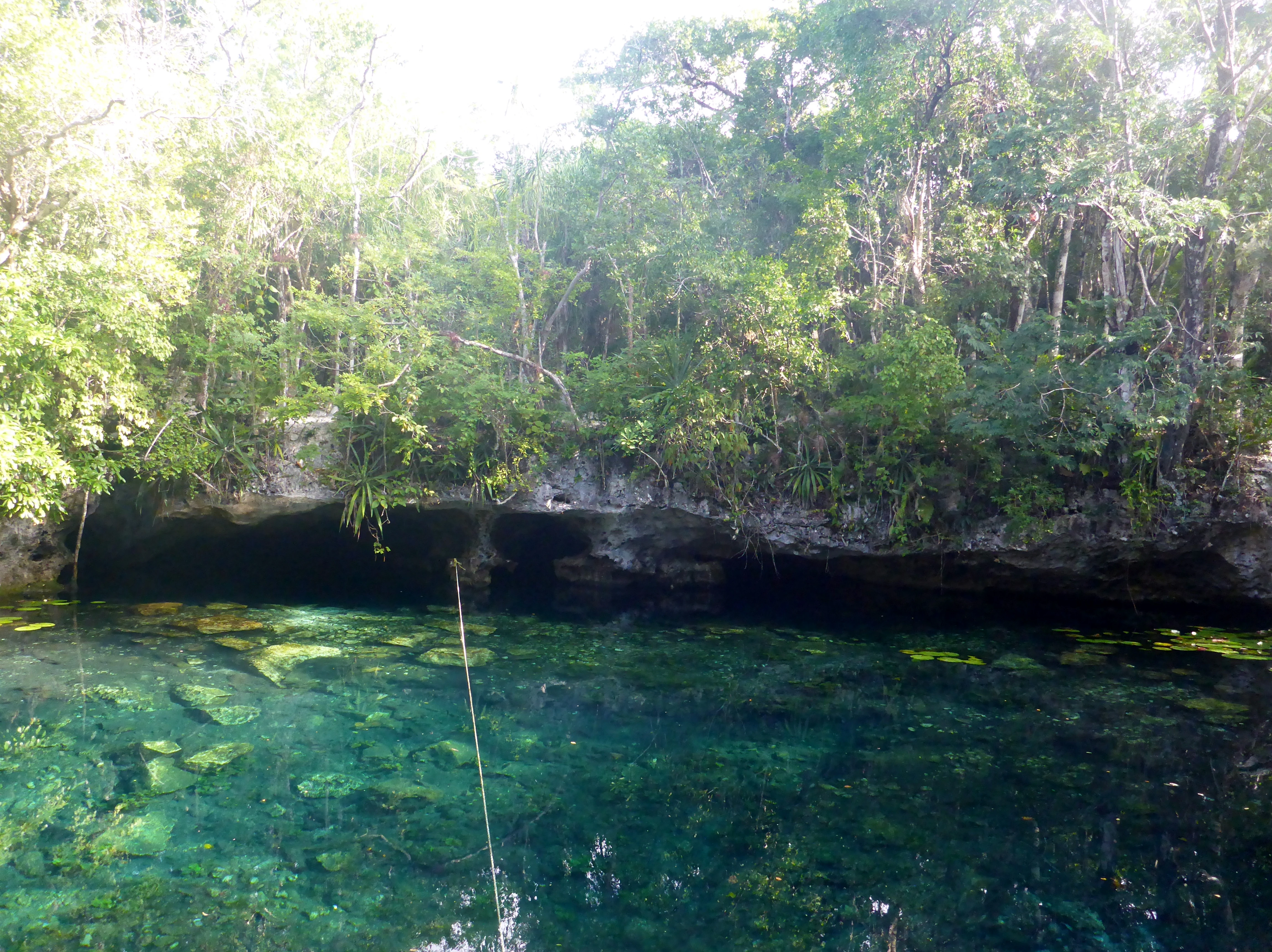 Cenote surrounded by jungle