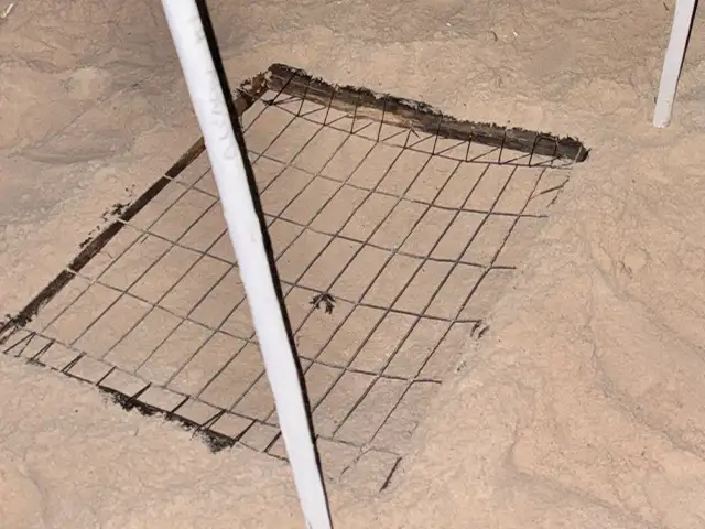 Wire cage protecting a marked sea turtle nest from predators in Akumal