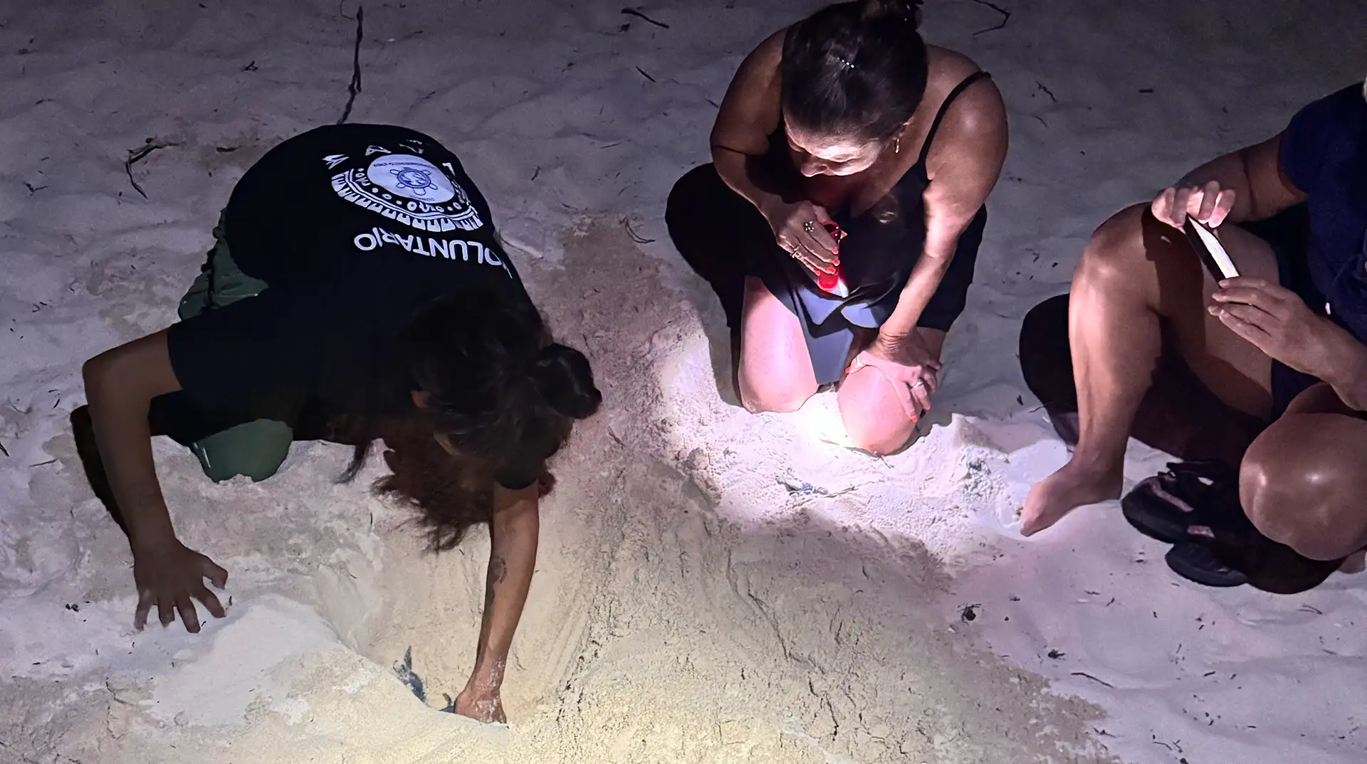 SAVE volunteers measuring and recording a sea turtle nest during a night patrol
