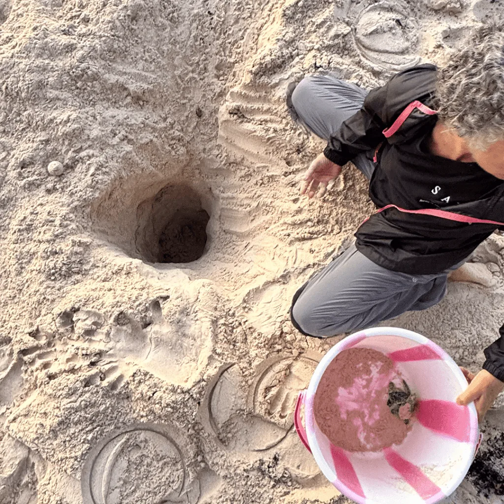 SAVE volunteers protecting a sea turtle nest