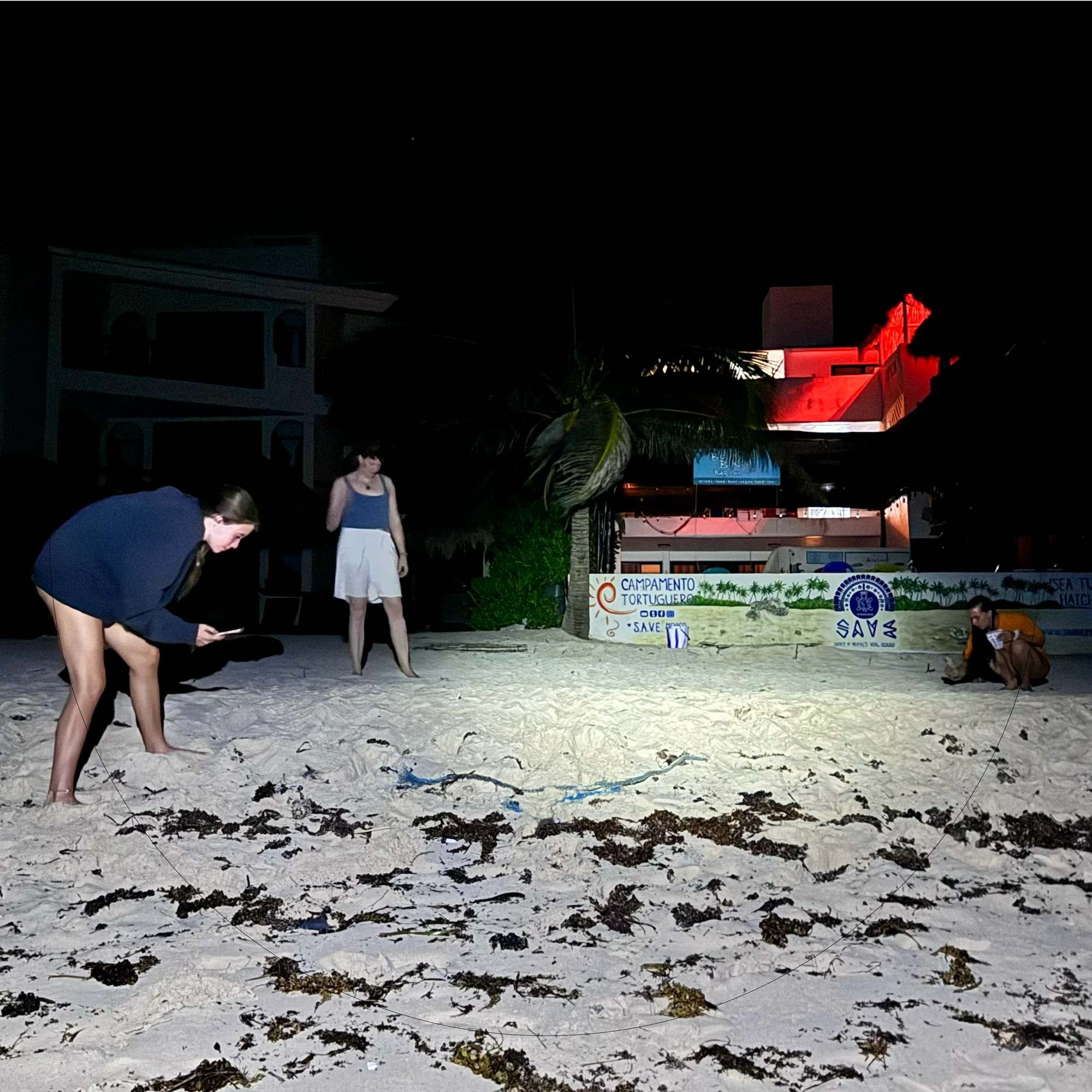 SAVE volunteers and staff on the beach at night