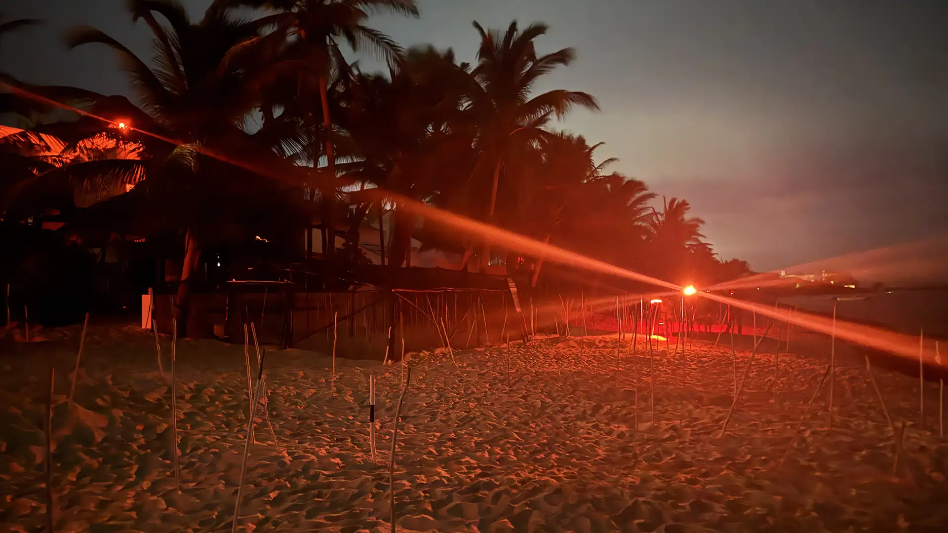 SAVE turtle camp in Akumal