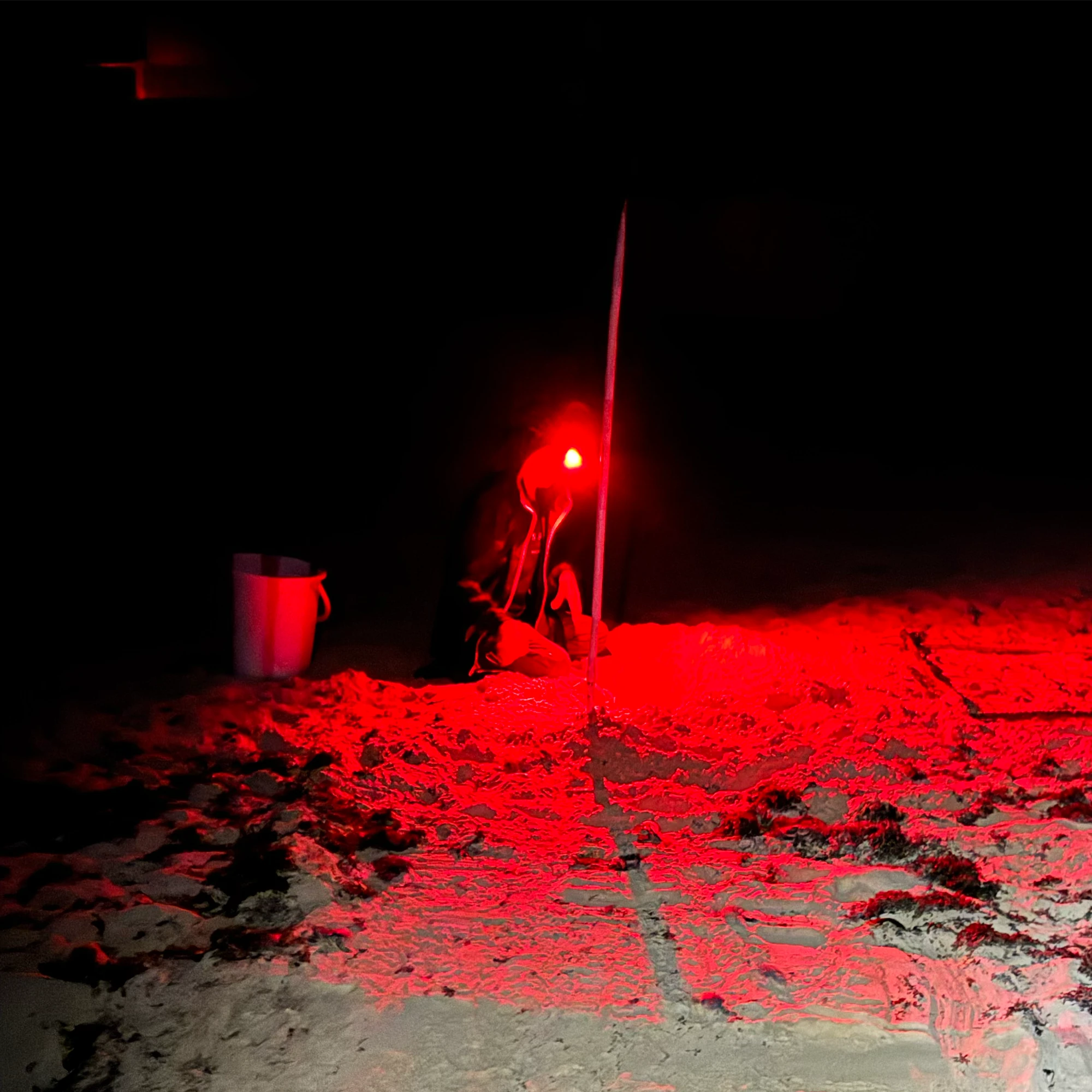 Volunteer working during a night beach patrol