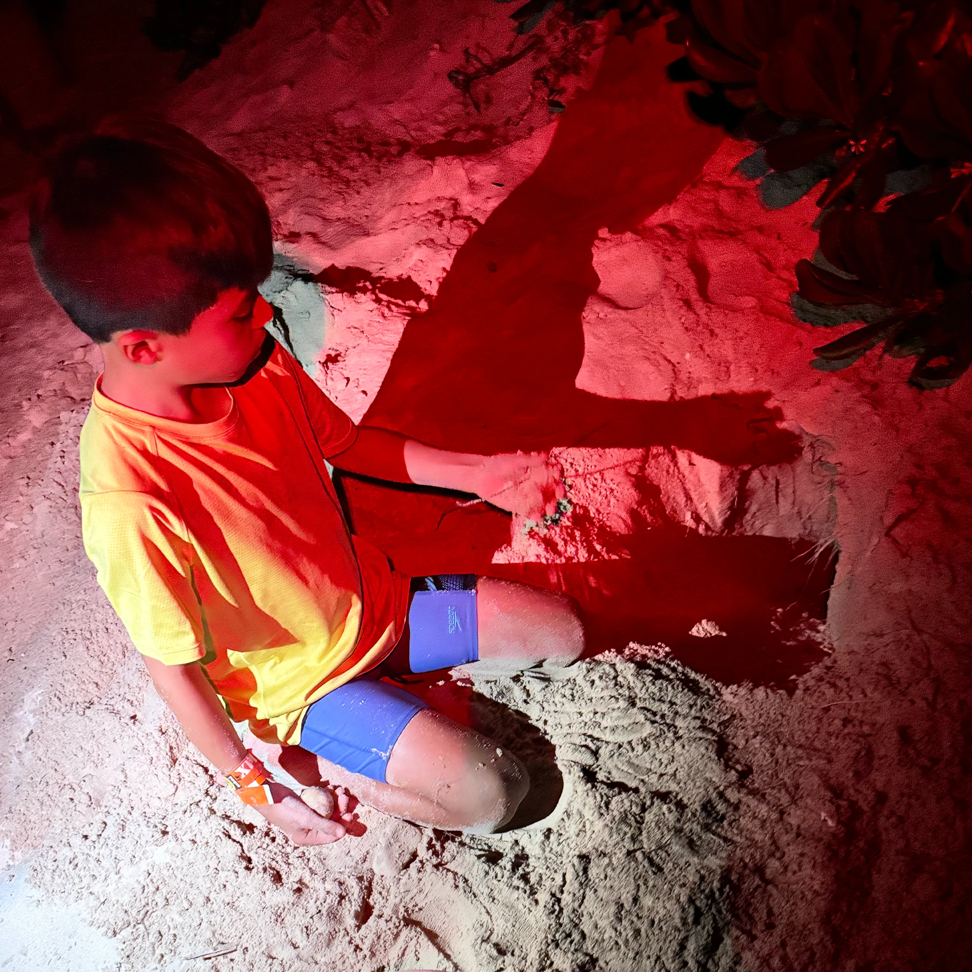 Volunteer helping with a sea turtle nest at night