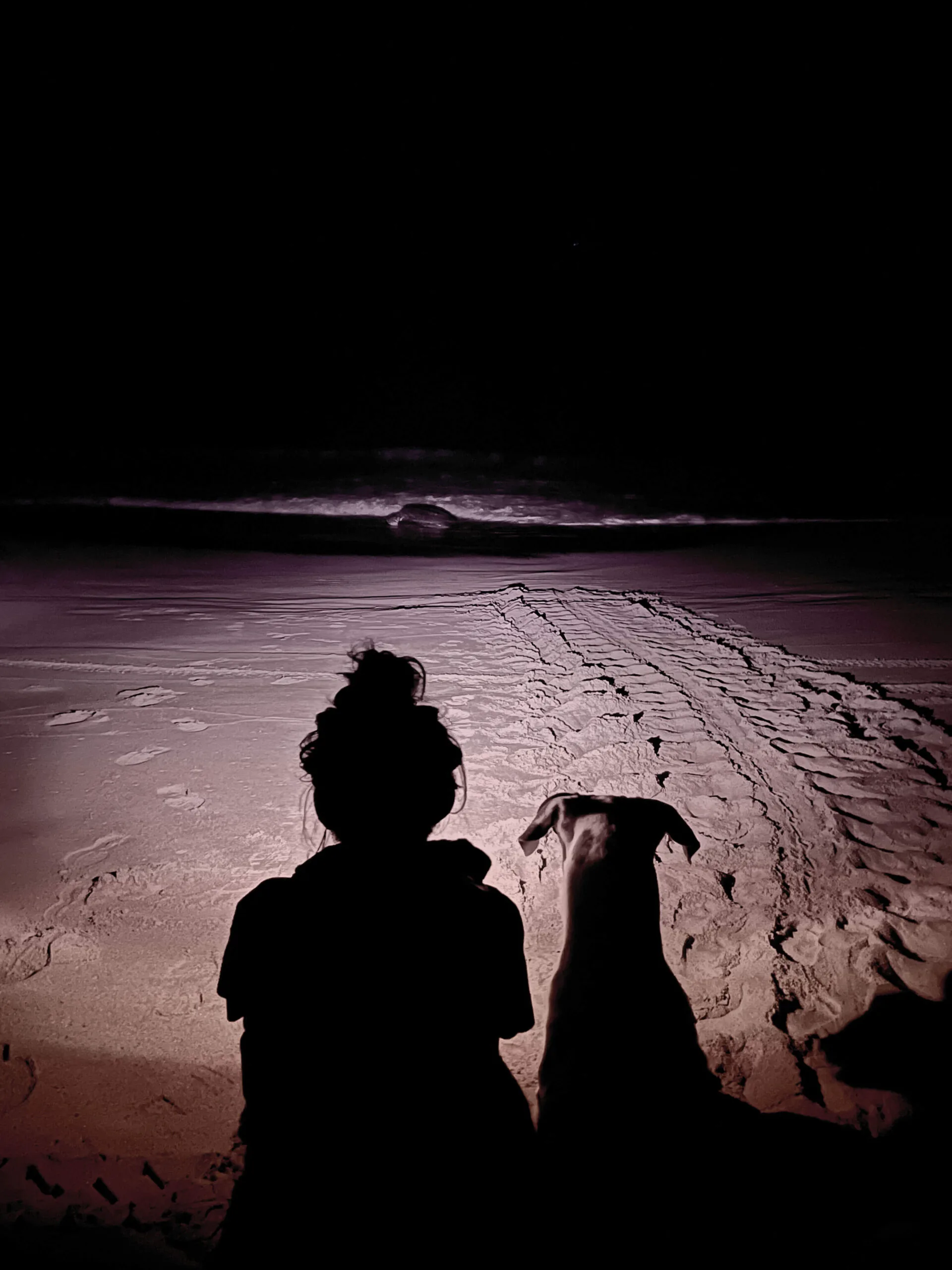 Yaz and Harley watching a sea turtle return to the ocean at night in Oaxaca